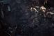 Скріншот гри Space Hulk: Deathwing Enhanced Edition Deluxe - Ключ Steam