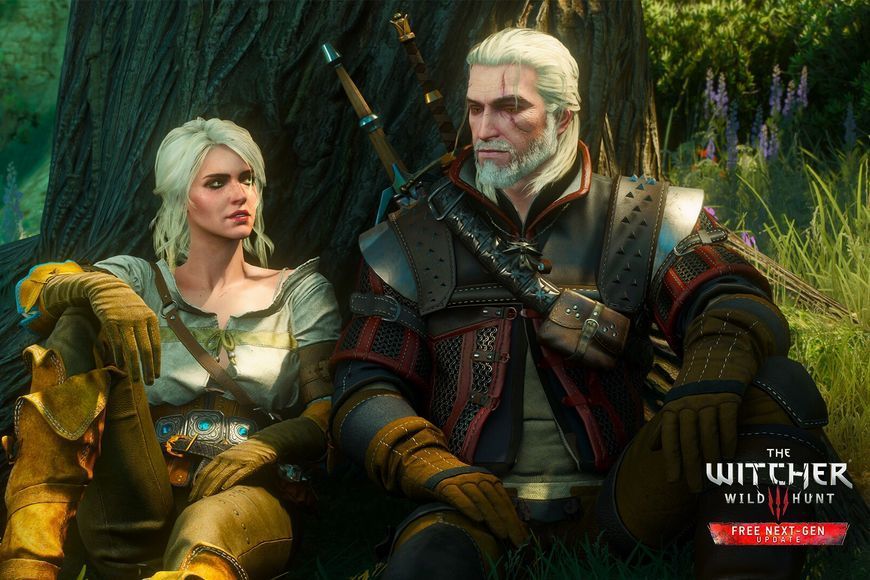 The Witcher 3: Wild Hunt GOTY - Ключ GOG Steam ключ