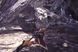 Скріншот гри Monster Hunter World: Iceborne Master Edition Digital Deluxe - Ключ Steam