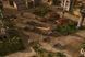 Скріншот гри Command & Conquer The Ultimate Collection - Ключ EA App