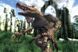 Скриншот игры The Elder Scrolls IV: Oblivion GOTY Deluxe Edition - Ключ GOG