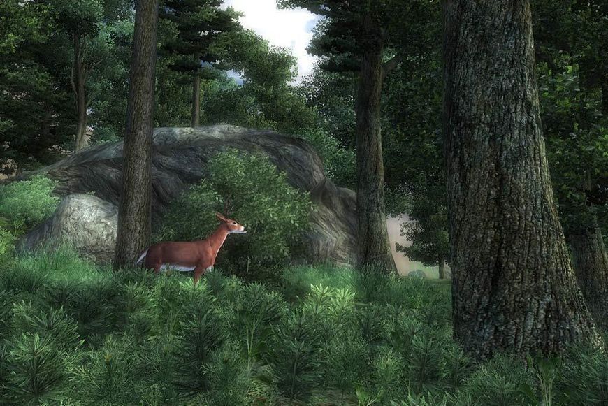 The Elder Scrolls IV: Oblivion GOTY Deluxe Edition - Ключ GOG Steam ключ