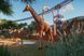 Скріншот гри Planet Zoo Deluxe Edition - Ключ Steam