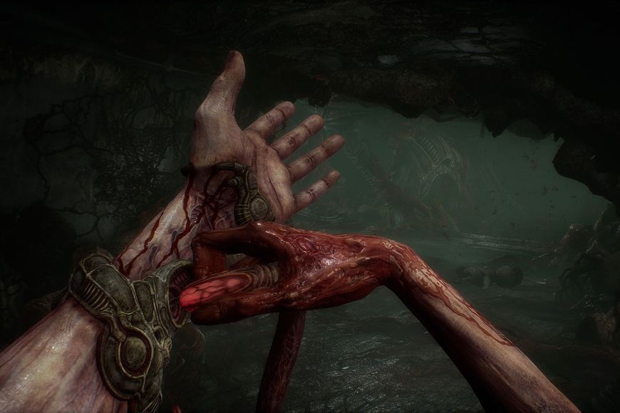Scorn - Ключ Steam Steam ключ