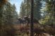 Скріншот гри theHunter: Call of the Wild - Ключ Steam