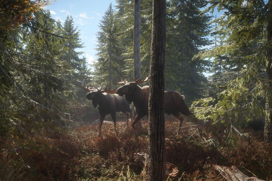 theHunter: Call of the Wild - Ключ Steam Steam ключ