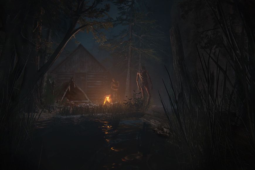 Outlast 2 - Ключ Steam Steam ключ