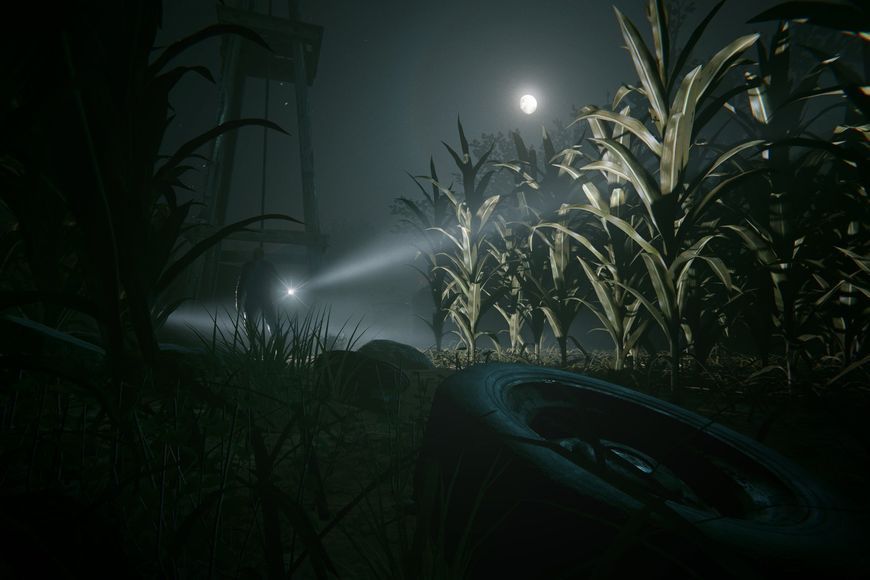 Outlast 2 - Ключ Steam Steam ключ