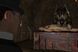 Скріншот гри Sherlock Holmes The Awakened (2008) - Ключ Steam
