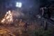 Скриншот игры Rise of the Tomb Raider: 20 Year Celebration - Ключ Steam