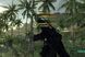 Скриншот игры Crysis - Ключ GOG