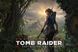 Скриншот игры Shadow of the Tomb Raider: Definitive Edition - Ключ Steam