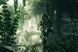 Скриншот игры Sniper Ghost Warrior Gold Edition - Ключ Steam