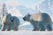 Скріншот гри Planet Zoo: Arctic Pack - Ключ Steam