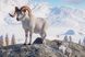 Скріншот гри Planet Zoo: Arctic Pack - Ключ Steam