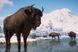 Скриншот игры Planet Zoo: Eurasia Animal Pack - Ключ Steam