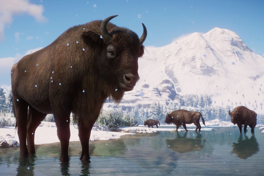 Planet Zoo: Eurasia Animal Pack - Ключ Steam Steam ключ