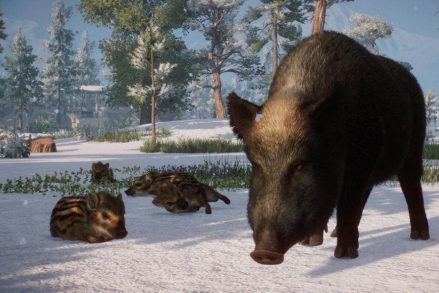 Planet Zoo: Eurasia Animal Pack - Ключ Steam Steam ключ