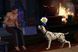 Скриншот игры The Sims 3 Питомцы - Ключ EA App
