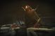 Скріншот гри Alien: Rogue Incursion Evolved Edition - Ключ Steam