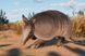 Скріншот гри Planet Zoo: Grasslands Animal Pack - Ключ Steam