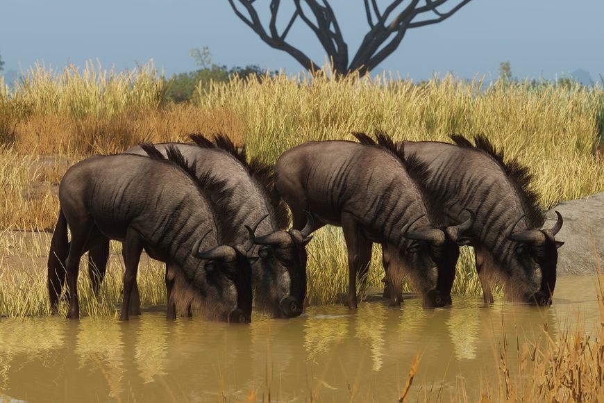 Planet Zoo: Grasslands Animal Pack - Ключ Steam Steam ключ