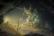 Скріншот гри Destiny 2: Year of Prophecy - Ключ Steam