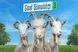 Скриншот игры Goat Simulator 3 - Ключ Steam