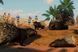Скриншот игры Planet Zoo: Arid Animal Pack - Ключ Steam