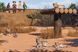 Скриншот игры Planet Zoo: Arid Animal Pack - Ключ Steam