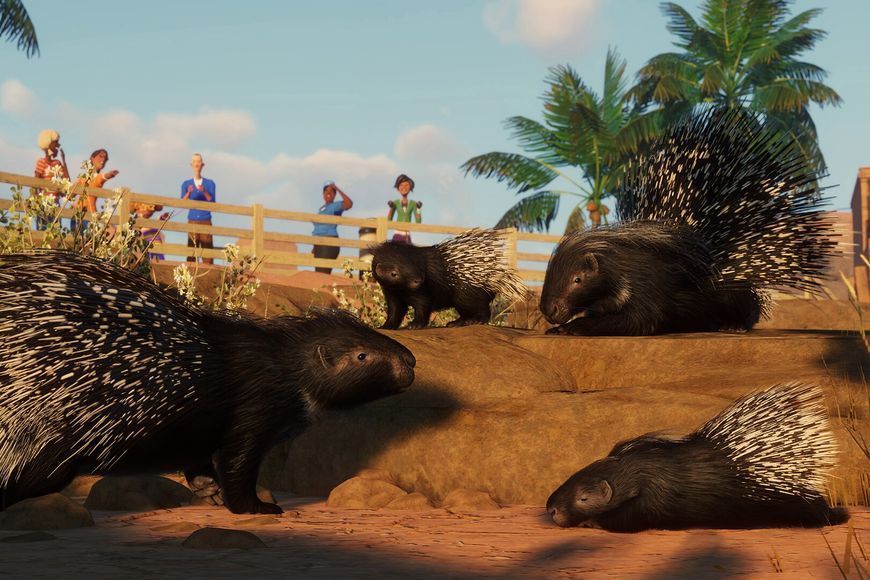 Planet Zoo: Arid Animal Pack - Ключ Steam Steam ключ