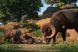 Скриншот игры Planet Zoo: Americas Animal Pack - Ключ Steam