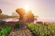 Скриншот игры Minecraft: Java & Bedrock Edition Deluxe Collection - Ключ Windows Store