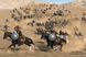 Скриншот игры Mount & Blade II: Bannerlord - Ключ Steam