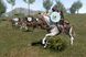 Скриншот игры Mount & Blade II: Bannerlord Digital Deluxe - Ключ Steam