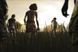 Скріншот гри The Walking Dead - Ключ Steam