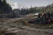 Скриншот игры Days Gone - Ключ Steam