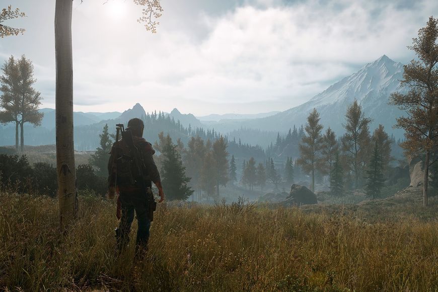 Days Gone - Ключ Steam Steam ключ